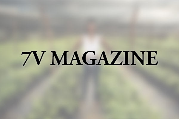 7V Magazine - Kreyol Essence