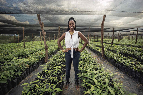 Newsletter: Celebrate Earth Day with Kreyól Essence