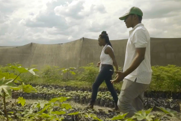 Farm to Hair + Skincare Kreyol Essence