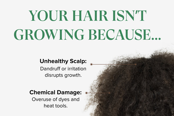 4 reasons why your hair isn’t growing!