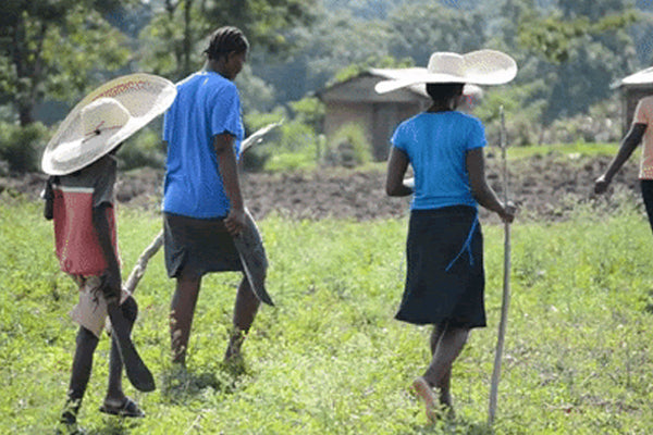 Newsletter: Gift Sets For Haiti & For You