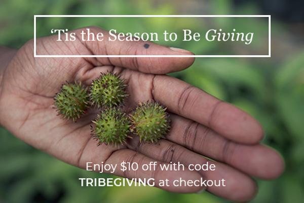 Kreyol Essence Insider: Tribe Photo Contest
