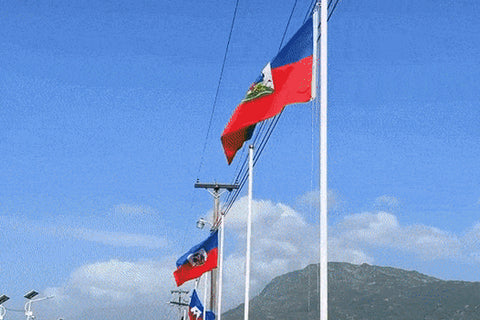 Newsletter: Happy Haitian Independence!