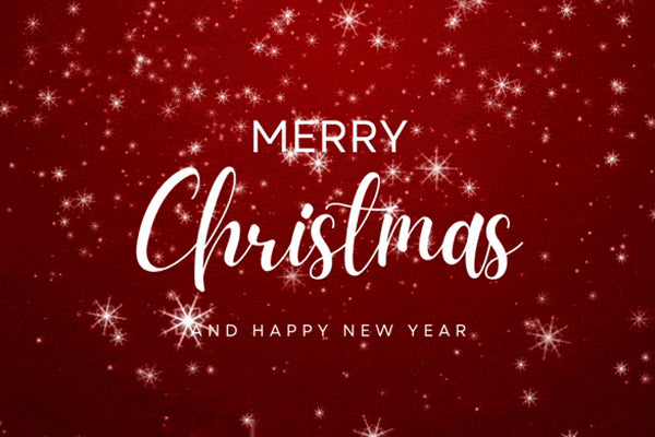 Newsletter: We wish you a joyful Holiday season! ☃️