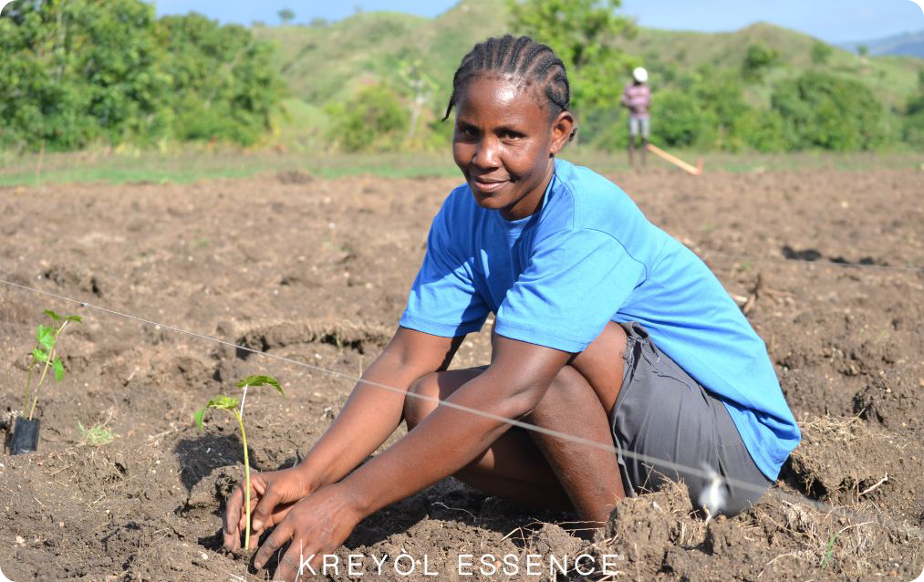 Kreyol Essence Gift Card