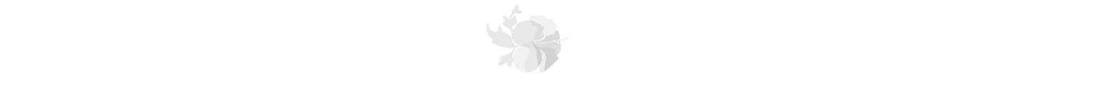Kreyol Essence