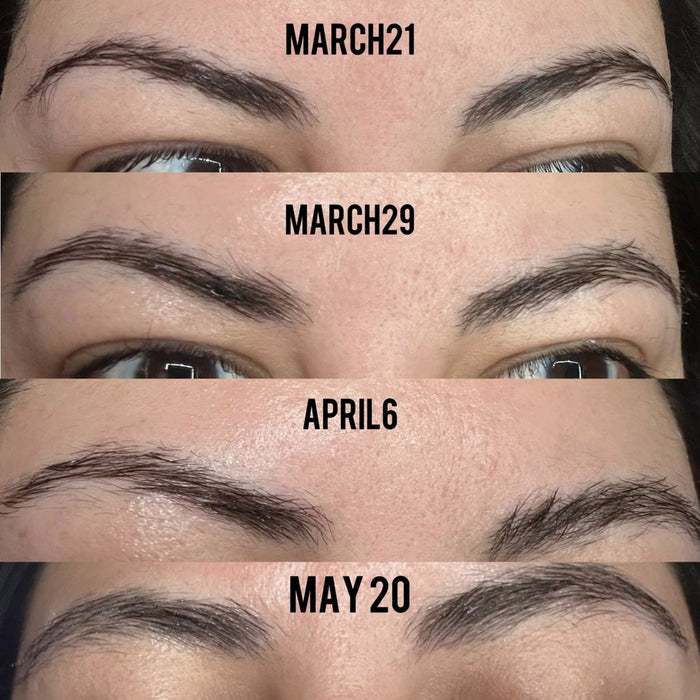 Michelle G’s eyebrow progress photos from March 21 to May 20