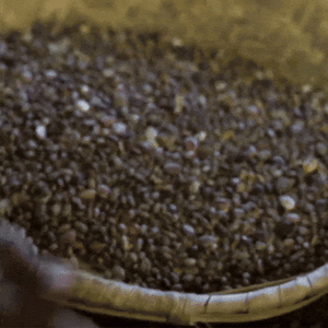 Kreyol Essence postpartum hair loss recovery kit for new moms, featuring scalp and hair health products, shown in the image.