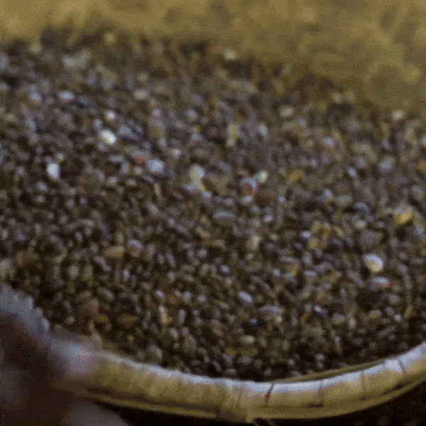 Kreyol Essence postpartum hair loss recovery kit for new moms, featuring scalp and hair health products, shown in the image.